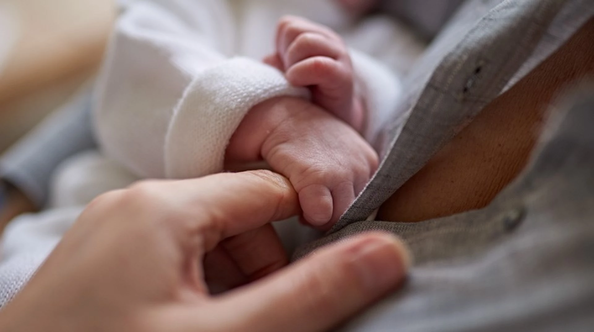 https://www.aptaclub.co.uk/content/dam/sn/local/gbr/aptamil/article-images/baby-holding-finger.jpg